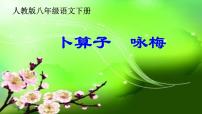 初中语文人教部编版八年级下册卜算子咏梅备课课件ppt