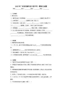2023年广东省河源市龙川县中考一模语文试题（含答案）