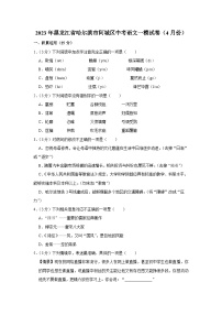 2023年黑龙江省哈尔滨市阿城区中考语文一模试卷(含答案)