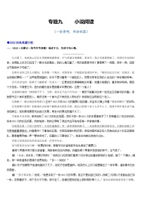 专题九 小说阅读-2023年中考语文毕业班二轮热点题型归纳与变式演练（全国通用）