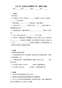 2023年广东省汕头市澄海区中考一模语文试题（含答案）
