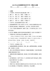 2023年山东省淄博市张店区中考一模语文试题（含答案）