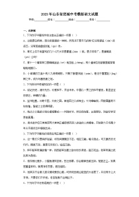 2023年山东省肥城中考模拟语文试题（含答案）