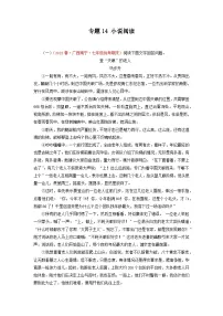 专题14 小说阅读-2022-2023学年七年级语文下学期期末备考专题复习（全国通用）