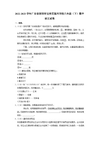广东省深圳市宝安区振兴学校2022-2023学年八年级下学期期中语文试题