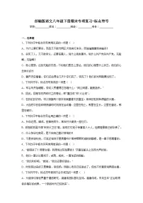 部编版语文八年级下册期末专项复习-标点符号