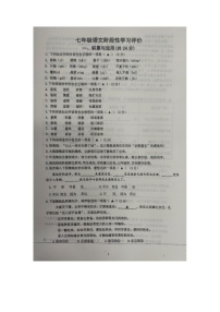 江苏省镇江市丹徒区2022-2023学年七年级下学期5月份月考语文试卷