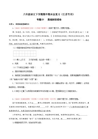 专题01：基础知识综合-八年级语文下学期期中期末专题训练与模拟测试（江苏专用）
