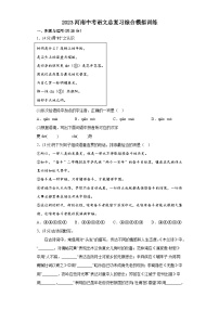 2023年河南省中考语文总复习综合模拟训练（含答案）