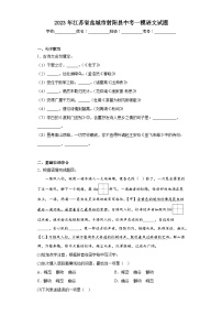 2023年江苏省盐城市射阳县中考一模语文试题（含解析）