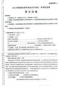 2023年陕西省渭南市澄城县中考三模语文试题