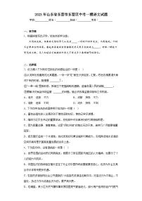 2023年山东省东营市东营区中考一模语文试题（含答案）