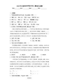 2023年天津市和平区中考三模语文试题(含解析)