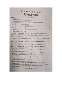 2023年山东省枣庄市薛城区中考二模语文试题+