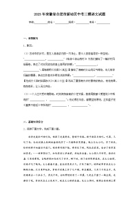 2023年安徽省合肥市新站区中考三模语文试题（含答案）(1)