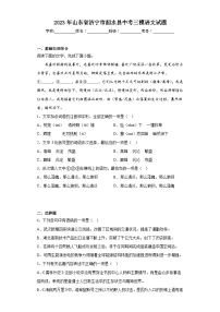 2023年山东省济宁市泗水县中考三模语文试题（含解析）