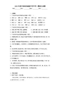 2023年四川省南充高级中学中考二模语文试题（含答案）