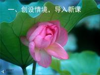 初中语文人教部编版七年级上册荷叶母亲课前预习课件ppt