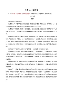 专题08 小说阅读－2022-2023学年七年级语文下学期期末备考专题复习（北京专用）