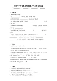 2023年广东省惠州市惠东县中考二模语文试题