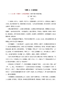 【期末专题复习】部编版语文2022-2023学年七年级下册期末：专题14 小说阅读（含解析）