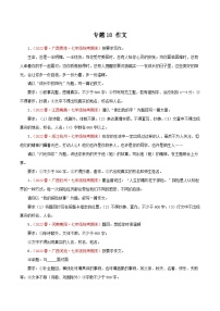 【期末专题复习】部编版语文2022-2023学年七年级下册期末：专题18 作文（含解析）