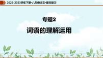【期末专题复习】部编版语文2022-2023学年八年级下册期末：专题02  词语的理解运用（课件）