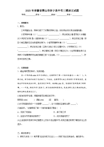 2023年安徽省黄山市休宁县中考三模语文试题(含答案)