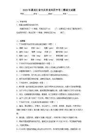 2023年黑龙江省大庆市龙凤区中考三模语文试题(含答案)