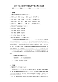 2023年山东省滨州市惠民县中考三模语文试题(含答案)