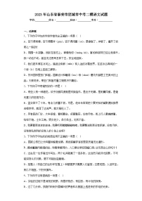 2023年山东省泰安市肥城市中考二模语文试题(含答案)