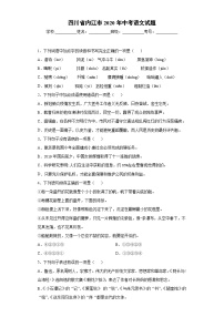 四川省内江市2020年中考语文试题