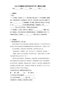 2023年安徽省合肥市包河区中考三模语文试题(含答案)