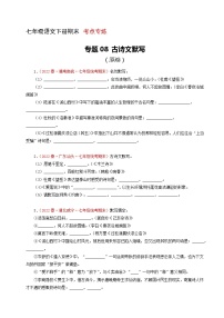 专题08：古诗文默写（考点专练） 七年级语文下册期末复习（部编版）