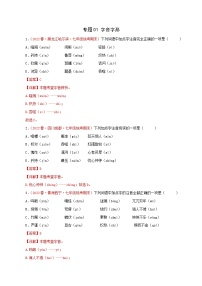 专题01：字音字形（专题过关）-2022-2023学年七年级语文下学期期末考点大串讲（部编版）（解析版）