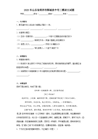 2023年山东省菏泽市鄄城县中考三模语文试题(含答案)