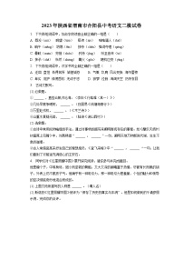 2023年陕西省渭南市合阳县中考二模语文试卷(含答案)