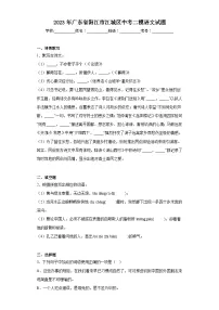 2023年广东省阳江市江城区中考二模语文试题(含解析)