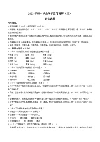2023年黑龙江省哈尔滨市道外区中考三模语文试题(含答案)