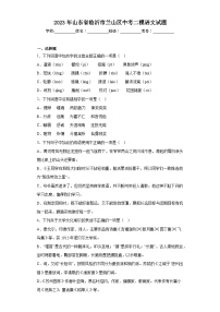2023年山东省临沂市兰山区中考二模语文试题(含答案)