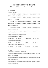 2023年新疆乌鲁木齐市中考一模语文试题（含解析）