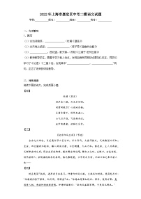 2022年上海市嘉定区中考二模语文试题(含答案)