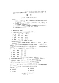 2023年四川省宜宾市中考语文真题