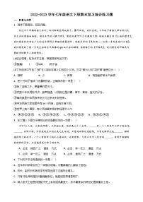 期末复习综合练习题2022-2023学年统编版语文七年级下册