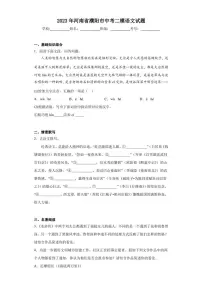 2023年河南省濮阳市中考二模语文试题(含答案)