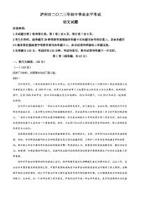2023年四川省泸州市中考语文真题（解析版）