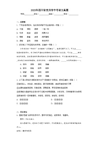 2023年四川省宜宾市中考语文真题（含解析）