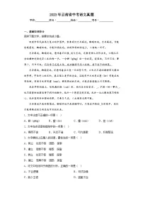 2023年云南省中考语文真题(含解析)