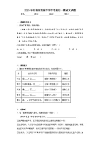 2023年河南省实验中学中考最后一模语文试题（含解析）