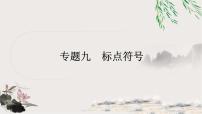中考语文复习综合运用专题九标点符号课件